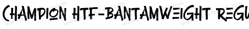 Champion HTF-Bantamweight Regular字体转换